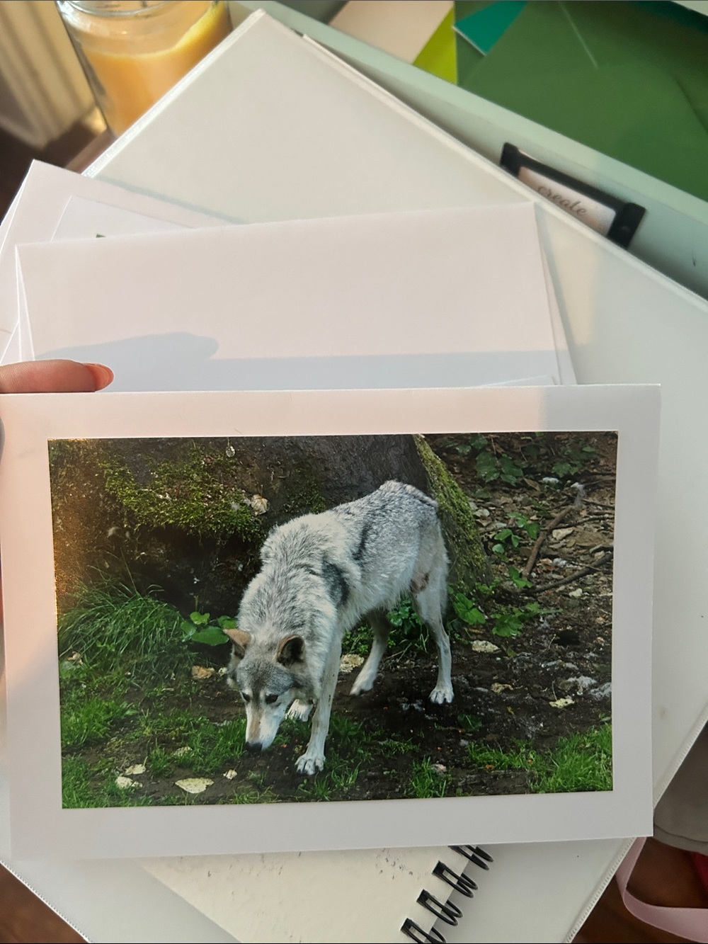 Blank Brand Gray Dog Photo Card - Wolf Image